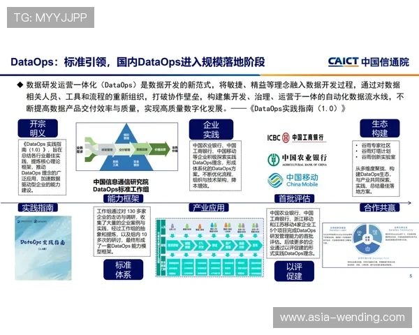 问鼎官方网站数据分析与效果评估，帮助企业不断优化网站表现