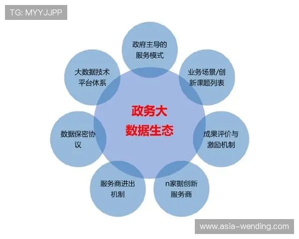 开云平台：助力体育行业数字化转型升级
