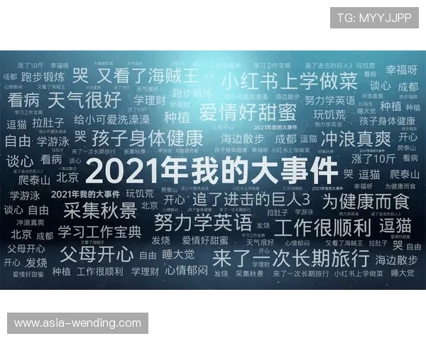 开云国际站的运营模式分析与成功经验总结