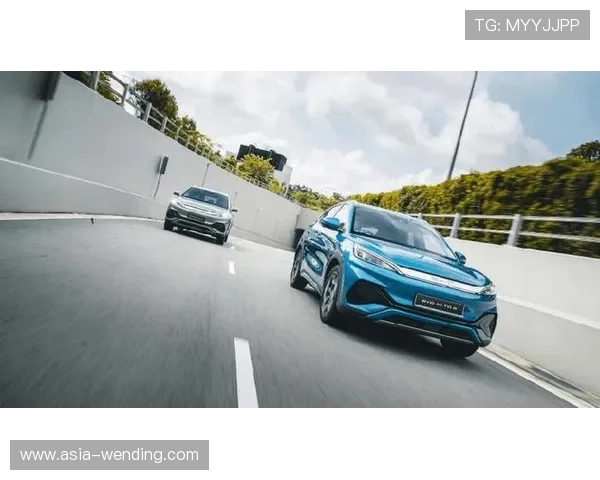 问鼎旗下娱乐平台的多元化发展与未来展望