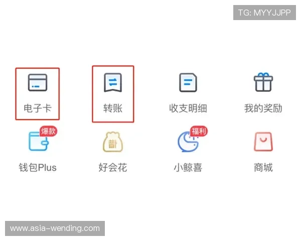 问鼎app安卓版本常见问题解答与技术支持,解决用户在下载和使用中的疑问 问鼎app安卓版本常见问题解答与技术支持,解决用户在下载和使用中的疑问