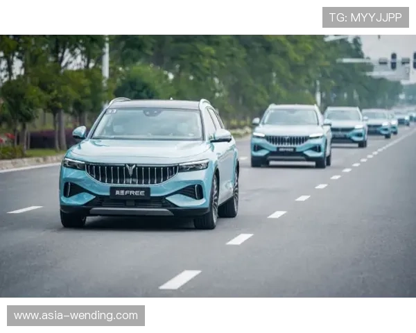 问鼎会员：会员等级提升带来的尊贵体验详解