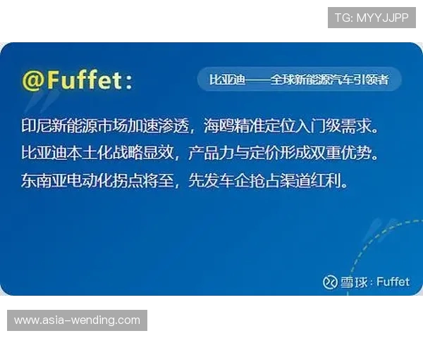 问鼎国际版:国际版产品的本土化策略与市场适应性分析 问鼎国际版:国际版产品的本土化策略与市场适应性分析