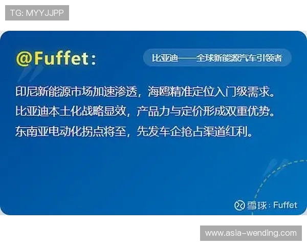 如何顺利访问问鼎aPP官网网站入口确保官方渠道安全登录指南