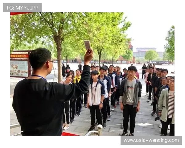 问鼎体育官网网址查询指南，详细步骤教你轻松找到官方平台确保账号安全与游戏体验